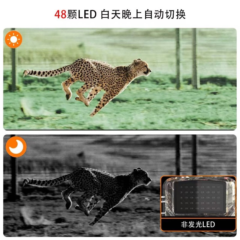 عرض خاص DL001 كاميرا صيد لتتبع - مراجعة Outdoor Hunting Video Camera وسعره