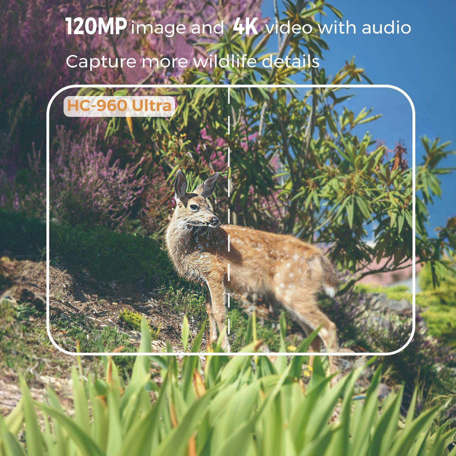 في الهواء الطلق 4K فيديو 120MP - مراجعة Outdoor Hunting Video Camera وسعره
