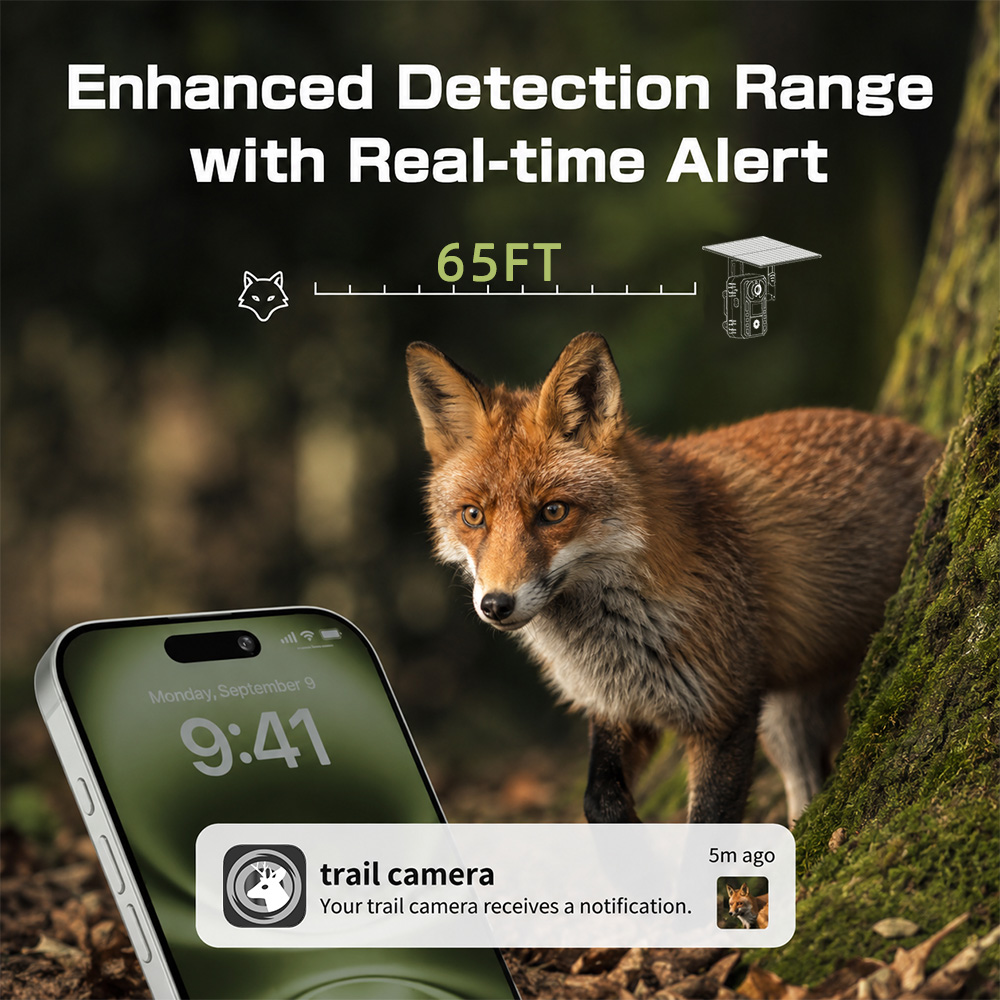 كاميرا تعقب الحياة البرية تعمل - مراجعة Outdoor Hunting Video Camera وسعره