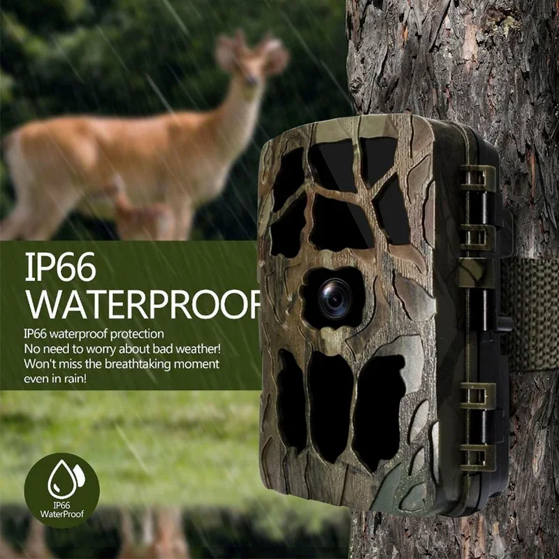 H982 IP66 مقاوم للماء 4K الأشع - مراجعة Outdoor Hunting Video Camera وسعره
