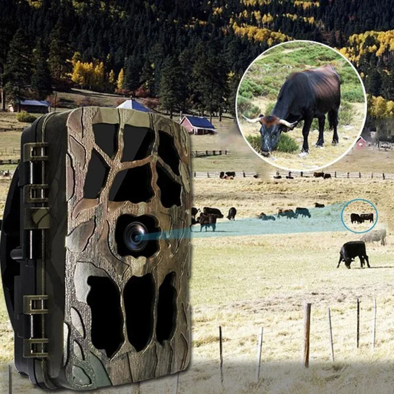 H982 IP66 مقاوم للماء 4K الأشع - مراجعة Outdoor Hunting Video Camera وسعره